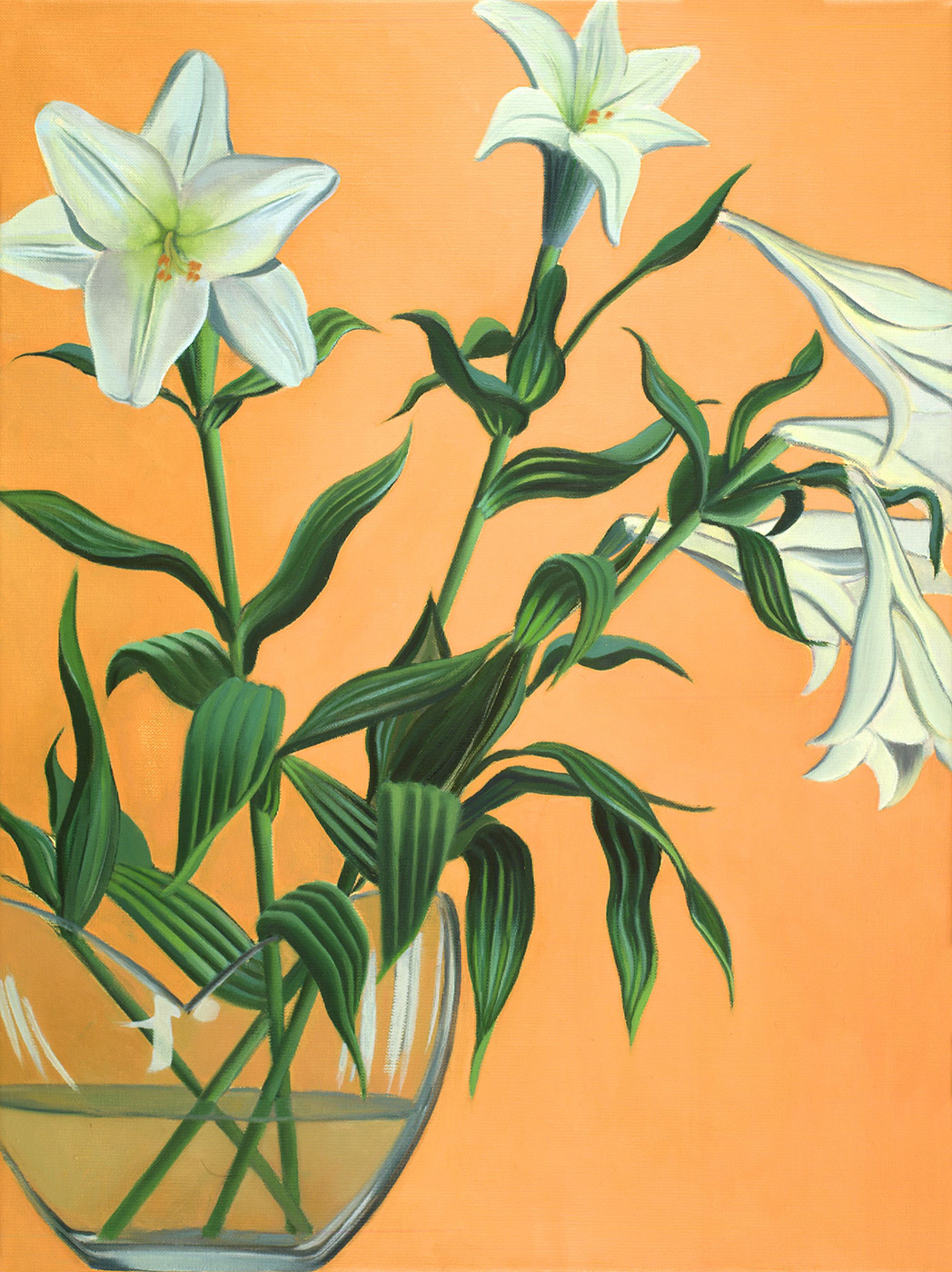 White Lillies  –  60cm x 45cm