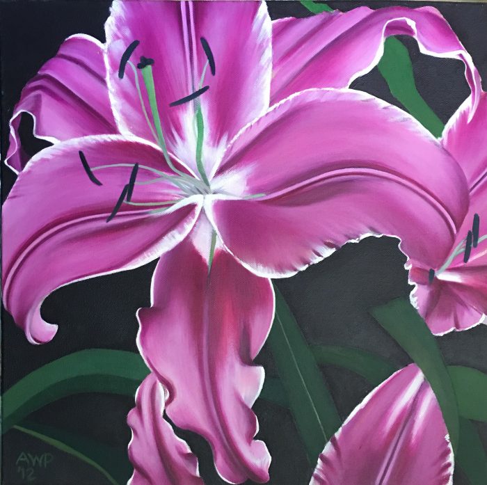 Pink Lillies  –  42cm x 42cm © Alan Power